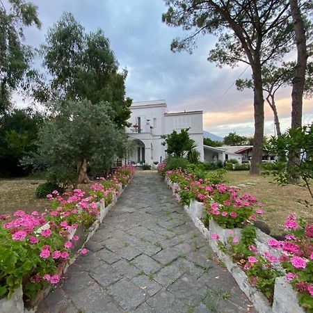 B&B Casa Maria Vittoria Τόρρε ντελ Γκρέκο Εξωτερικό φωτογραφία