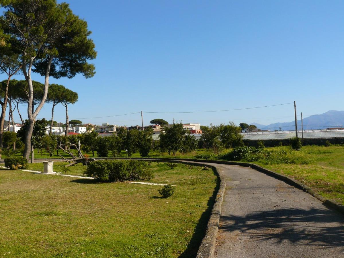 B&B Casa Maria Vittoria Τόρρε ντελ Γκρέκο Εξωτερικό φωτογραφία