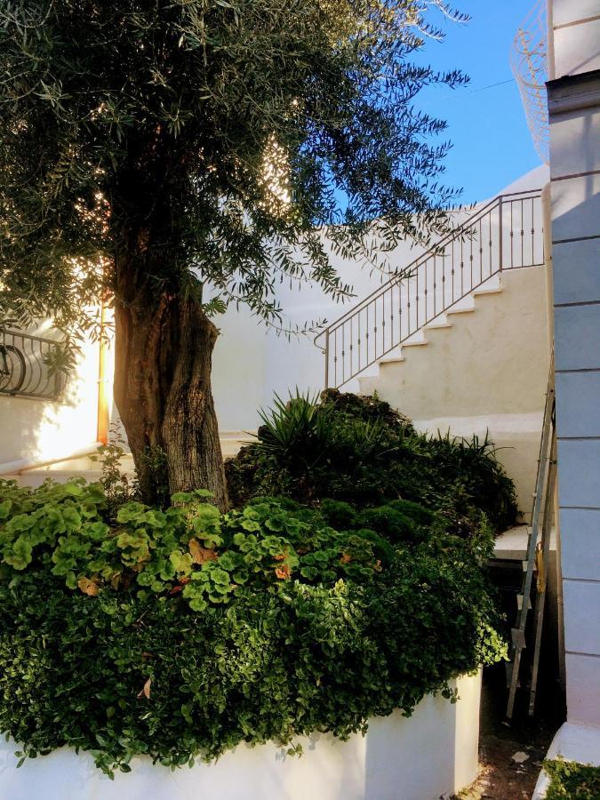 B&B Casa Maria Vittoria Τόρρε ντελ Γκρέκο Εξωτερικό φωτογραφία