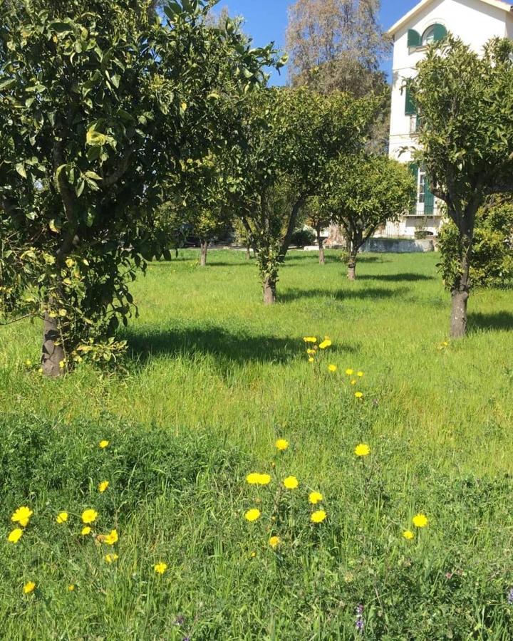 B&B Casa Maria Vittoria Τόρρε ντελ Γκρέκο Εξωτερικό φωτογραφία