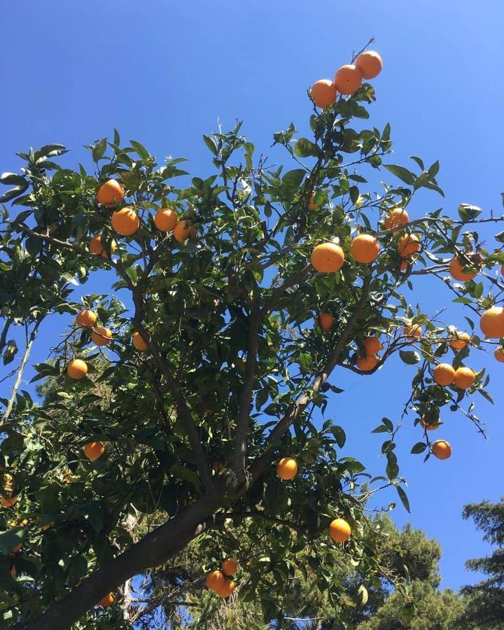B&B Casa Maria Vittoria Τόρρε ντελ Γκρέκο Εξωτερικό φωτογραφία